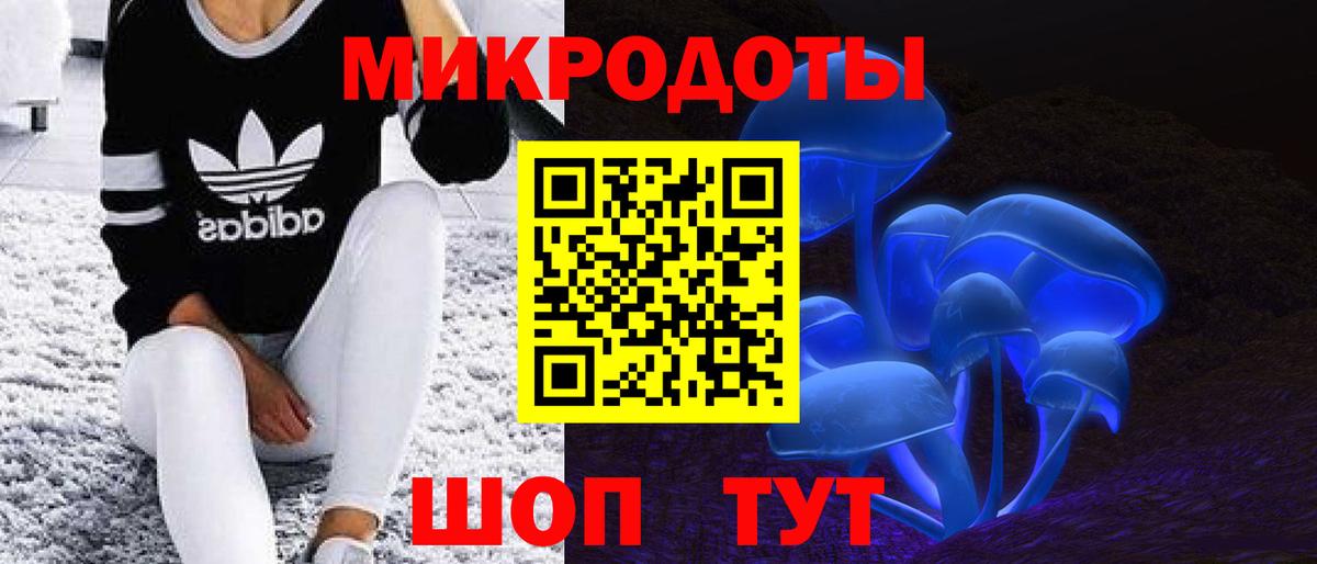 Канаш  Псилоцибиновые грибы мицелий  Вход с VPN 
